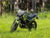 Racer Panther, 2026 г.