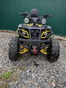 Storm 200 Wild Track Lux, 2025 г.