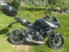 Triumph Tiger, 2022 г.