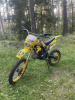 BSE DX, 2022 г.