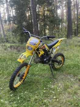 BSE DX, 2022 г.