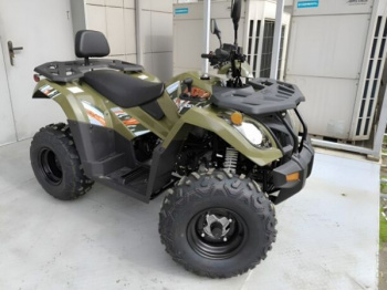 Kayo AU300 Carb, 2026 г.