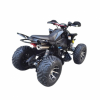 ATV Storm Panther SPORTY 250, 2025 г.