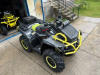 AODES (ODES) ATV 1000, 2024 г.
