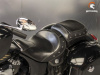 Indian Chieftain, 2015 г.