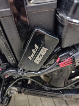 Harley-Davidson Sportster, 2021 г.