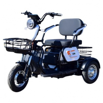 BMW GG Электротрицикл Terax APKI (SVITYAZ NS003, 2025 г.