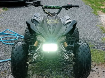 KXD Cobra, 2010 г.