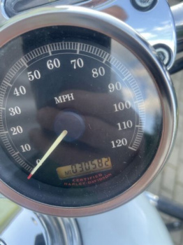 Harley-Davidson Sportster 1200C, 2005 г.