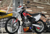 Kayo T1-L 250 ENDURO CB250G, 2025 г.