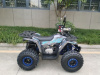 Avantis Hunter 150 TAO 125cc, 2023 г.
