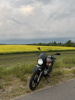 BAJAJ Boxer рестайлинг, 2024 г.