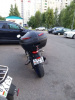 Suzuki SFV Стрит, 2009 г.