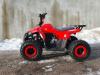 Yacota ATV Raposa 110cc, 2024 г.
