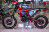 Progasi RACE 300 AIR, 2025 г.