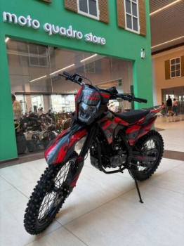 TMBK ENVY 300 PRO, 2026 г.