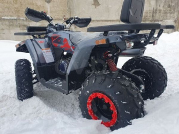 Motoland Wild Track TaoTao Shark 200cc, 2023 г.