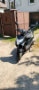Regulmoto Eagle, 2024 г.
