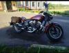 Indian Scout, 2015 г.