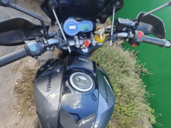 Regulmoto T-Leopard, 2024 г.