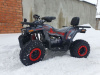Motoland Wild Track TaoTao Shark 200cc, 2023 г.