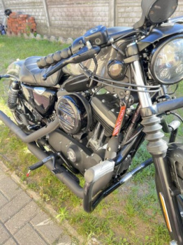 Harley-Davidson Sportster 883 iron, 2019 г.