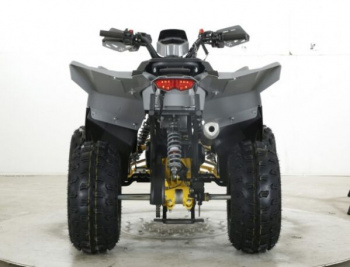 Motax ATV Grizlik D125 RAPTOR, 2025 г.