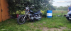 Kawasaki VN 750, 1984 г.