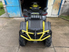 AODES (ODES) ATV 1000, 2024 г.