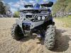 Motoland Wild Track 200 LUX, 2025 г.