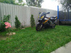 Honda CBR 919 rr, 1996 г.