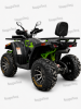 Motoland Wild Track X Pro, 2026 г.