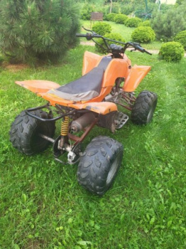 Bashan ATV, 2008 г.