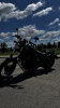 Yamaha XVS bolt, 2019 г.