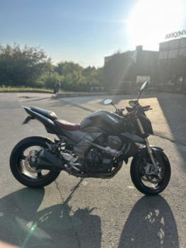 Kawasaki Z, 2007 г.