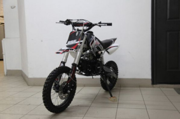 BSE EVO, 2026 г.