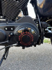Harley-Davidson Sportster XL 1200 R, 2005 г.