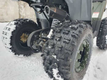Wels Thunder Taomotor Shark 125cc, 2023 г.