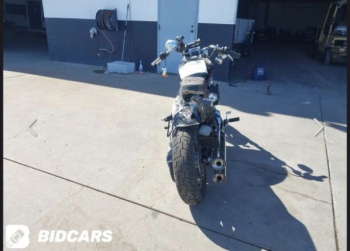 Harley-Davidson Softail FXST, 2023 г.