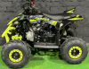Motoland Raptor 110, 2026 г.