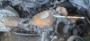 BMW R R18, 2022 г.
