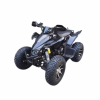 ATV Storm Panther SPORTY 250, 2025 г.