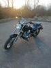 Lifan LF 250b, 2020 г.