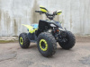 Motoland Raptor 125, 2024 г.