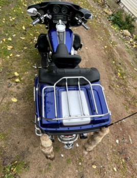 Harley-Davidson Electra Glide, 2005 г.