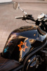 Suzuki GSF, 1998 г.