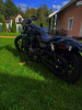 Harley-Davidson Nightster, 2024 г.