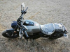 Regulmoto FIVE BOB, 2024 г.