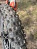 Regulmoto Holeshot, 2022 г.