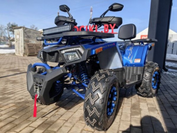 Motoland Wild Track 200 X WINCH, 2025 г.